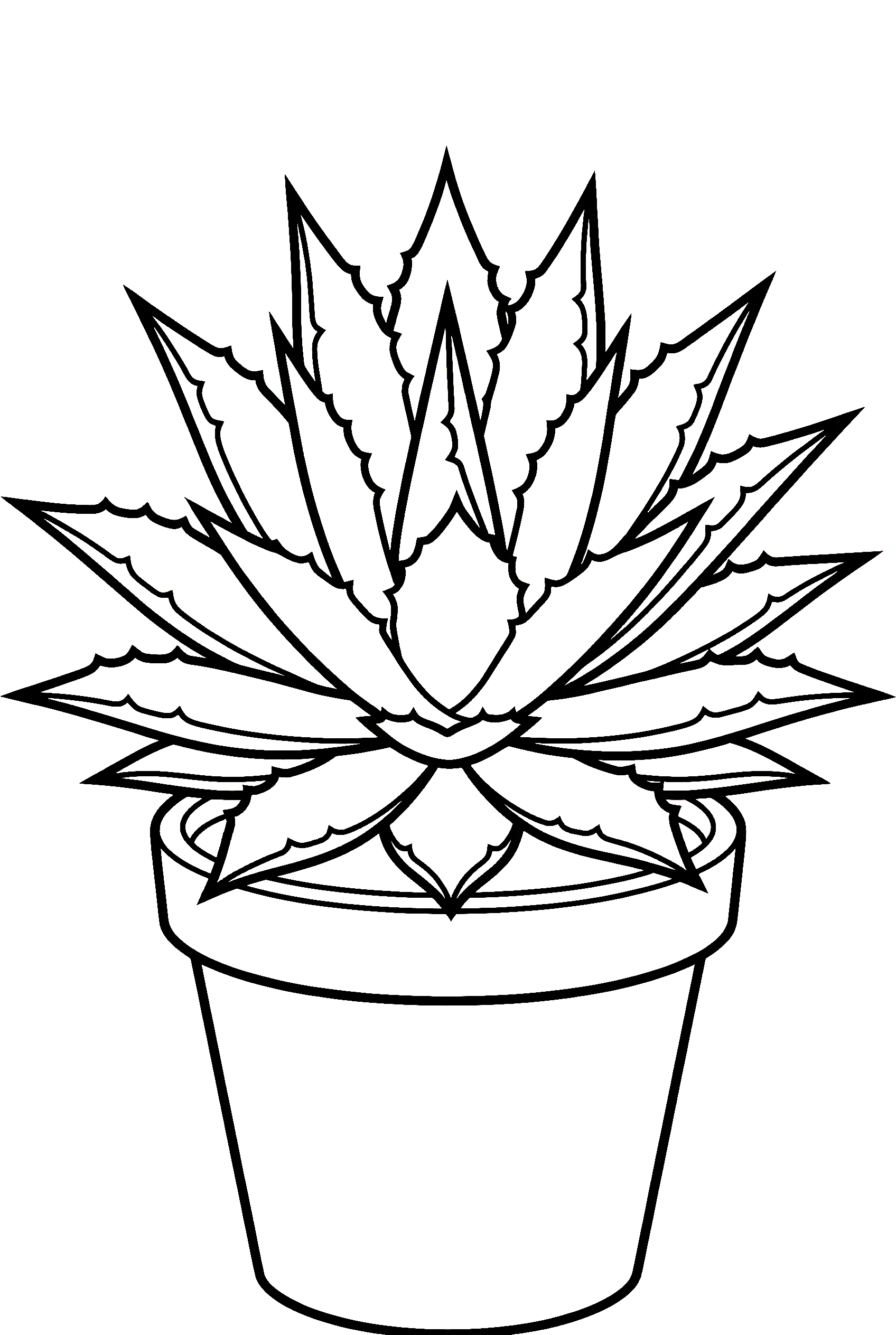 Succulent Coloring Pages