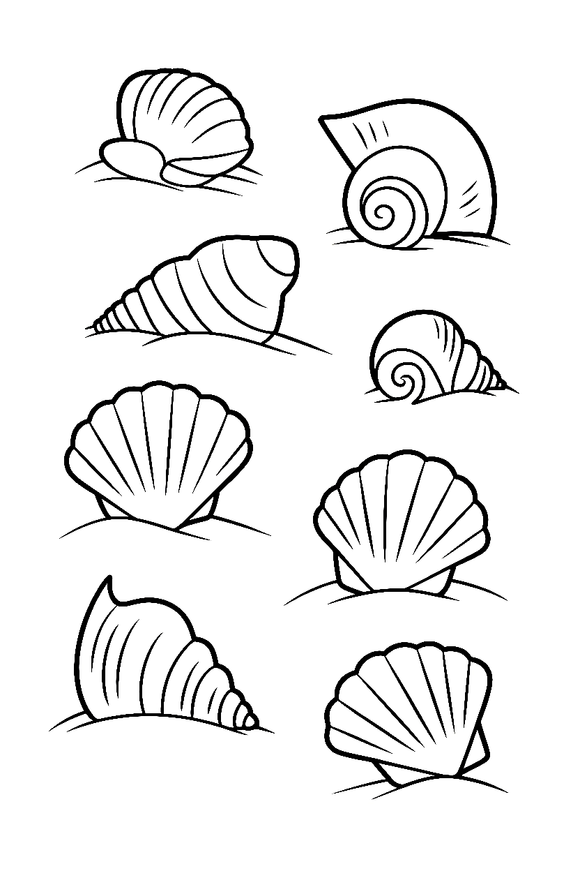 beach seashells scattered printable sheet