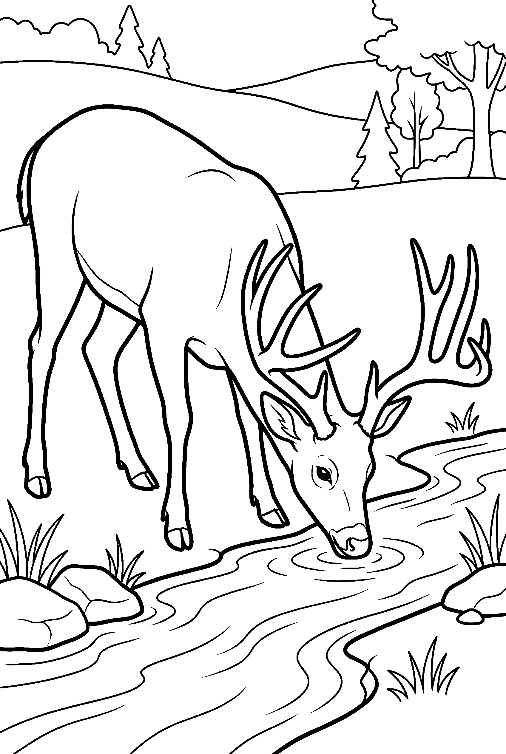 Deer Coloring Pages