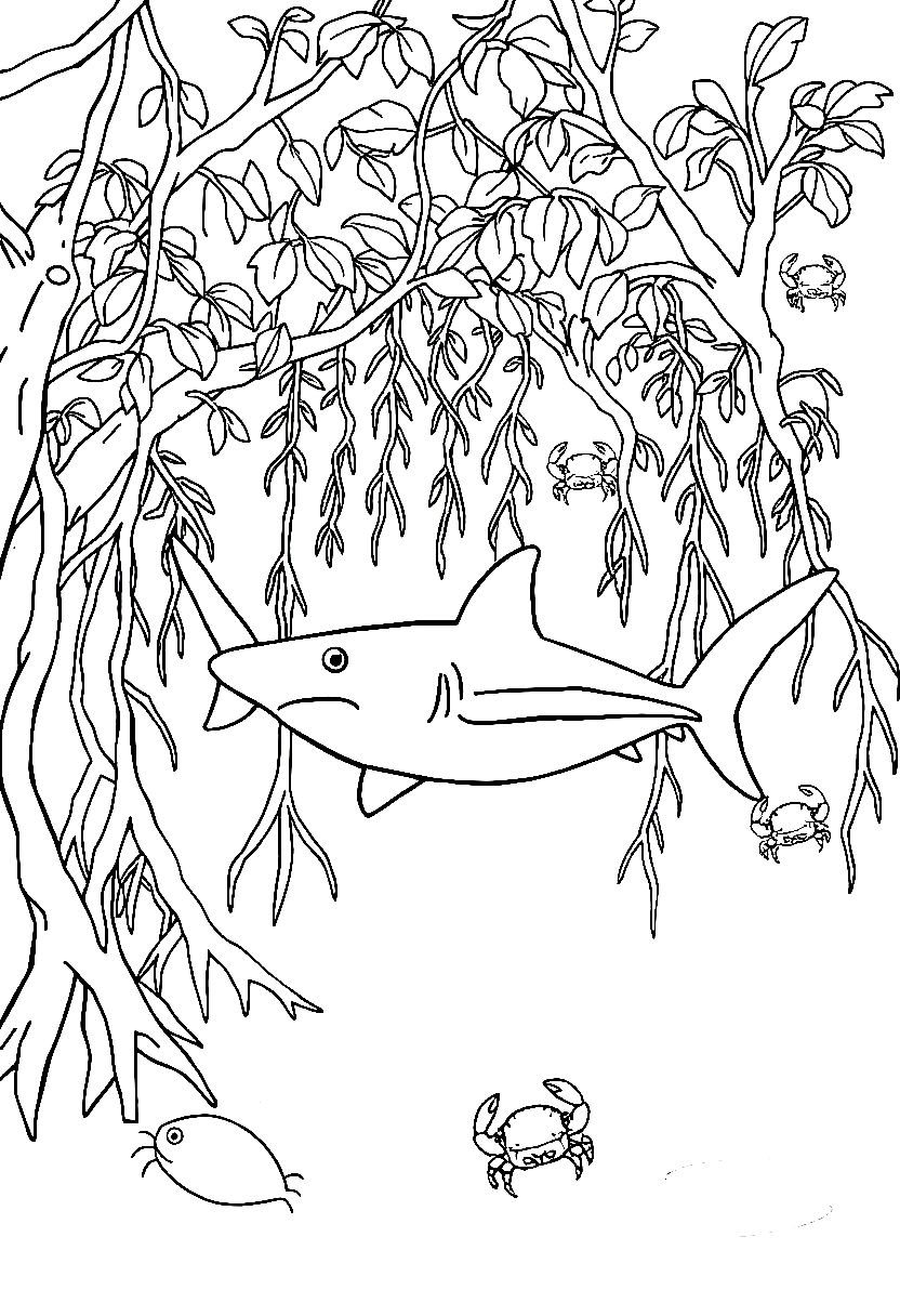 bull shark mangrove coloring pages