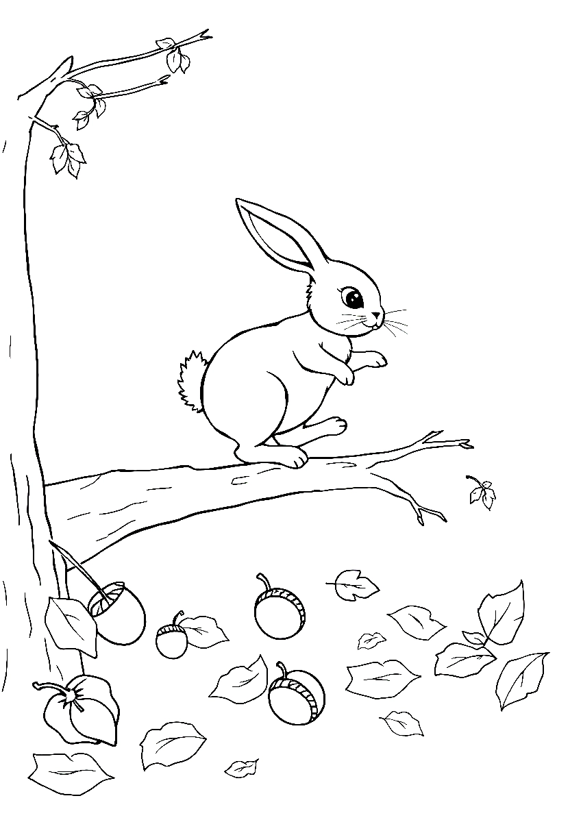 bunny jumping branch coloring pages