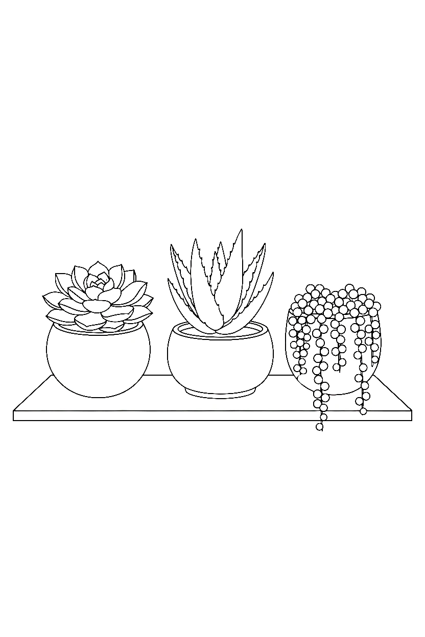 desktop succulent trio coloring pages