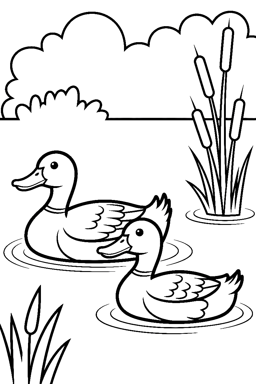 ducks swimming pair cattails printable sheet ducks swimming pair cattails printable sheet