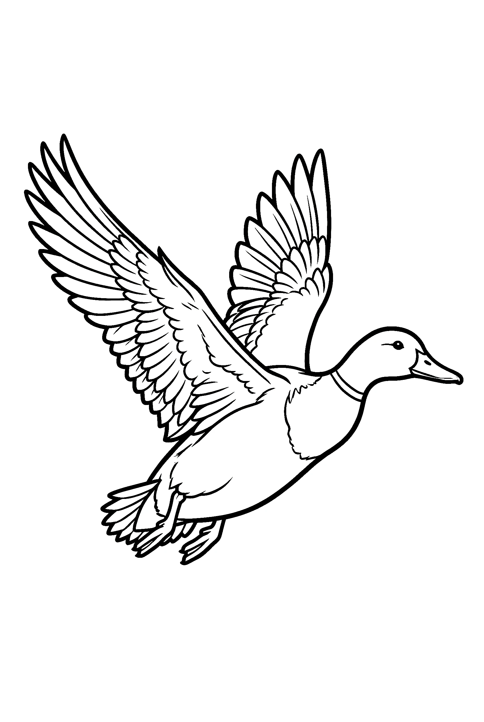 flying duck coloring pages wings