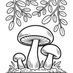 forest-floor-mushroom-canopy-drawing