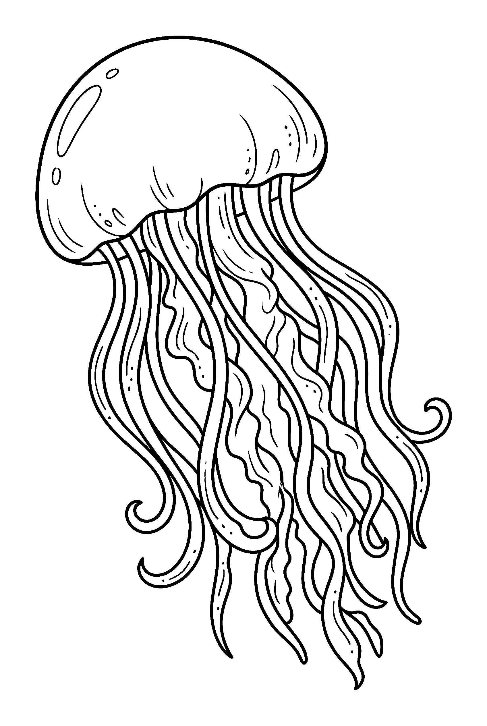 graceful jellyfish floating drawing for kids