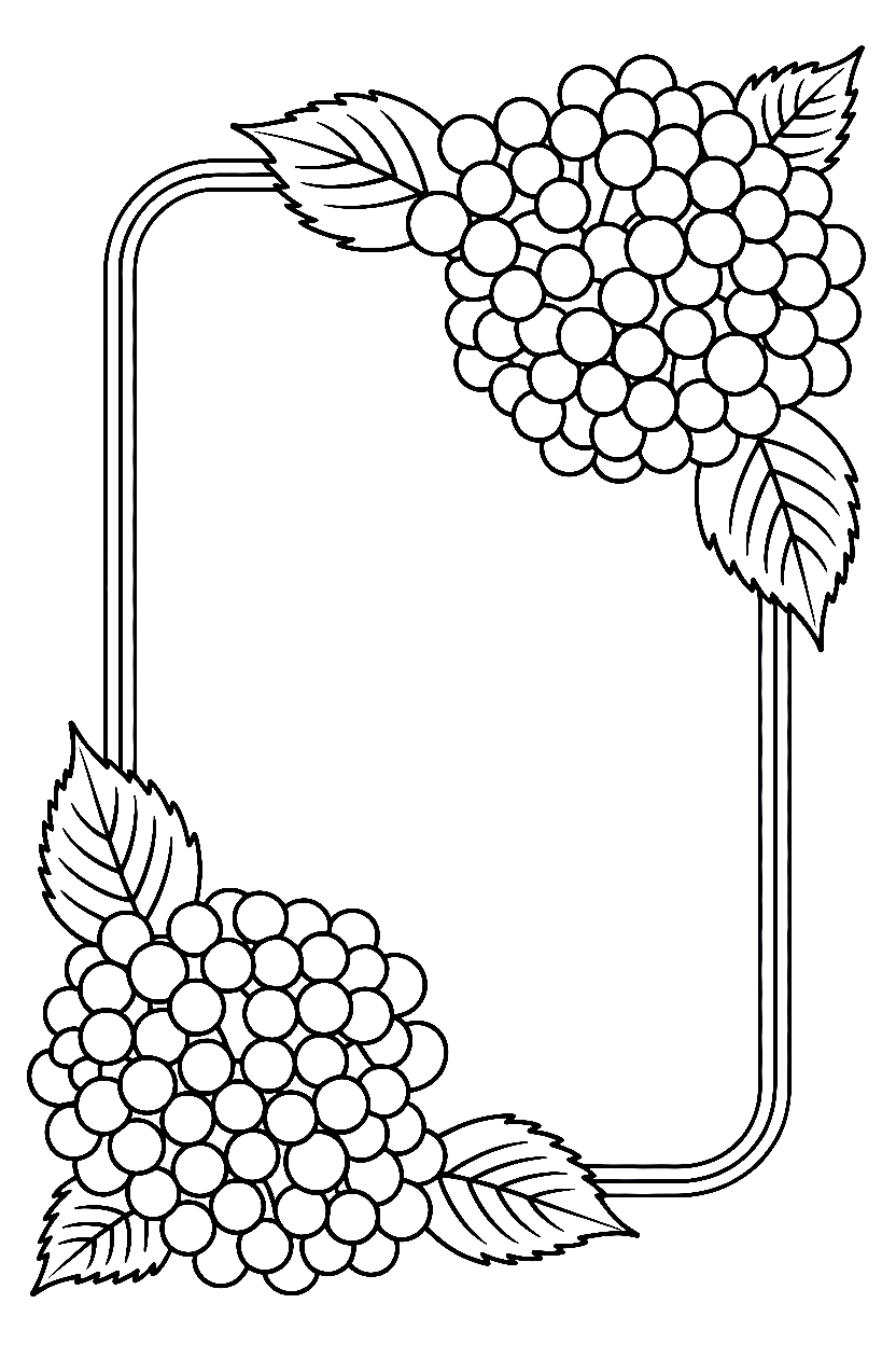 hydrangea clusters leaves frame printable sheet