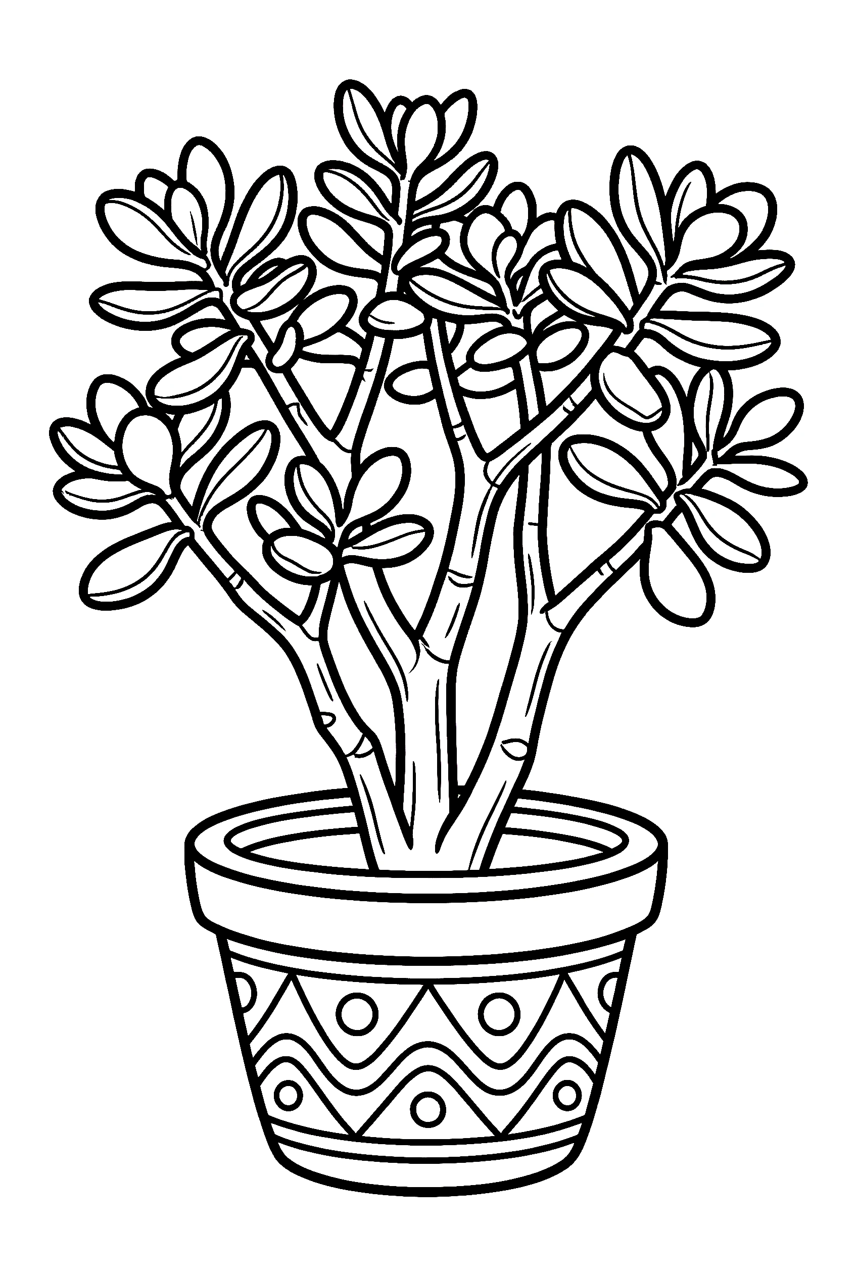 jade plant branches printable sheet