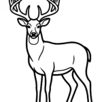 majestic-buck-antlers-coloring-pages