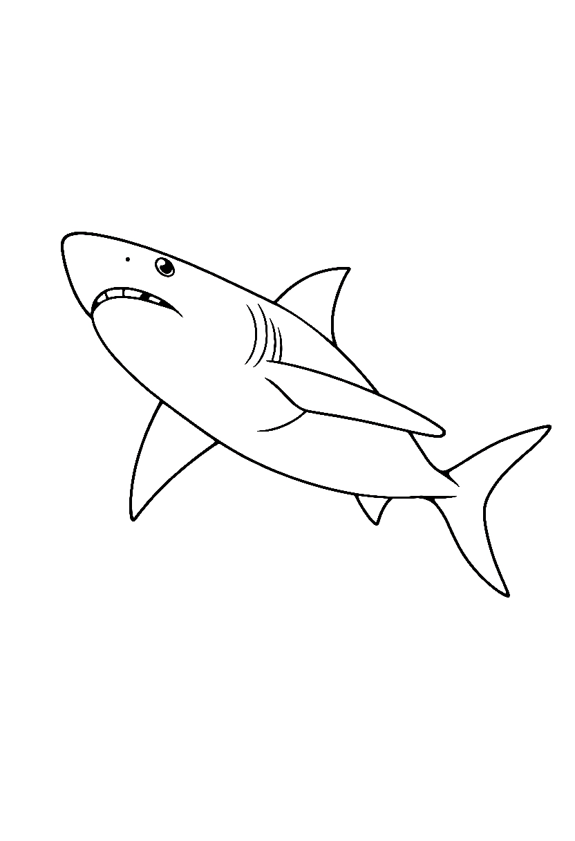 mako shark swimming drawing