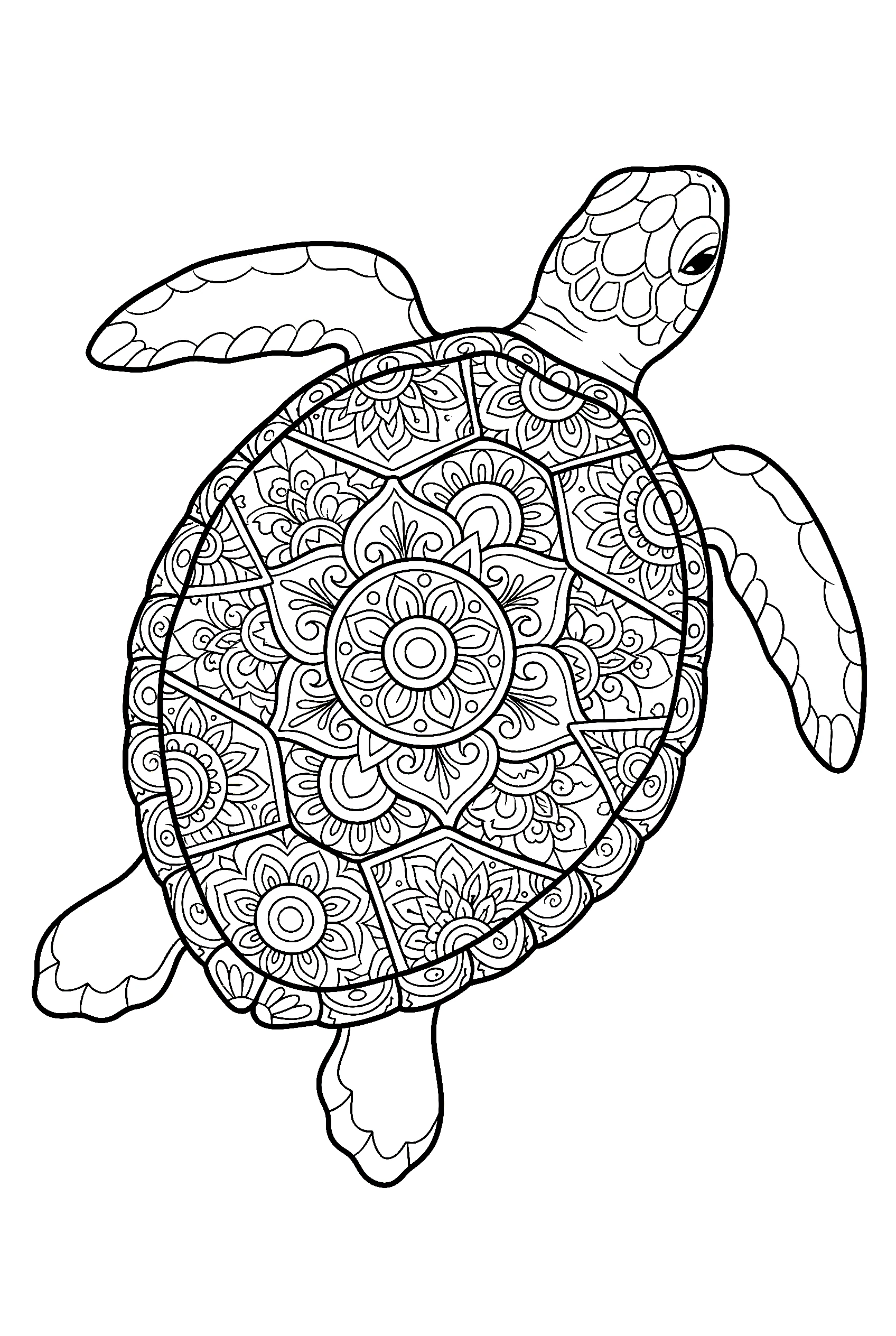 mandala turtle detailed printable sheet
