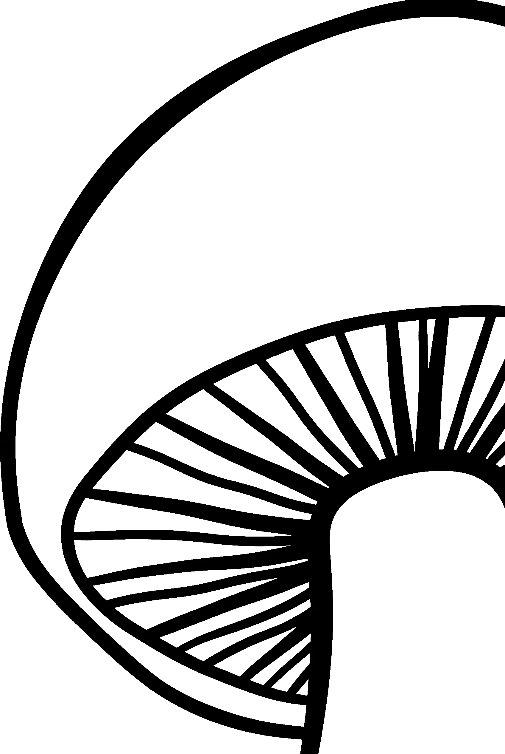 mushroom gill detail drawing for kids