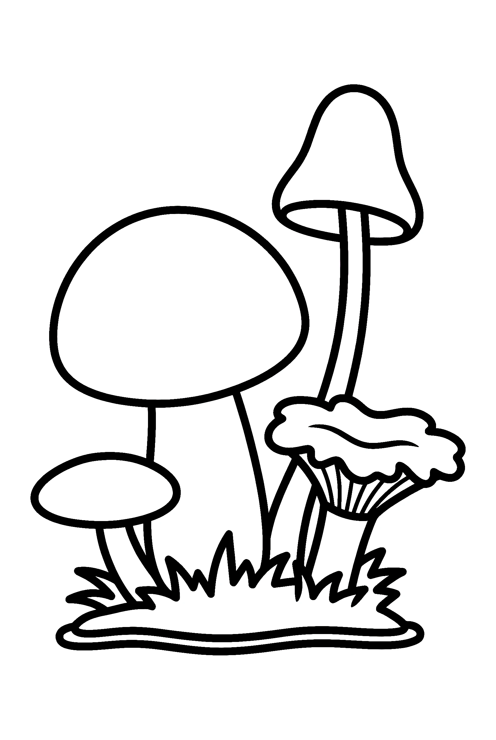 mushroom variety comparison illustration template