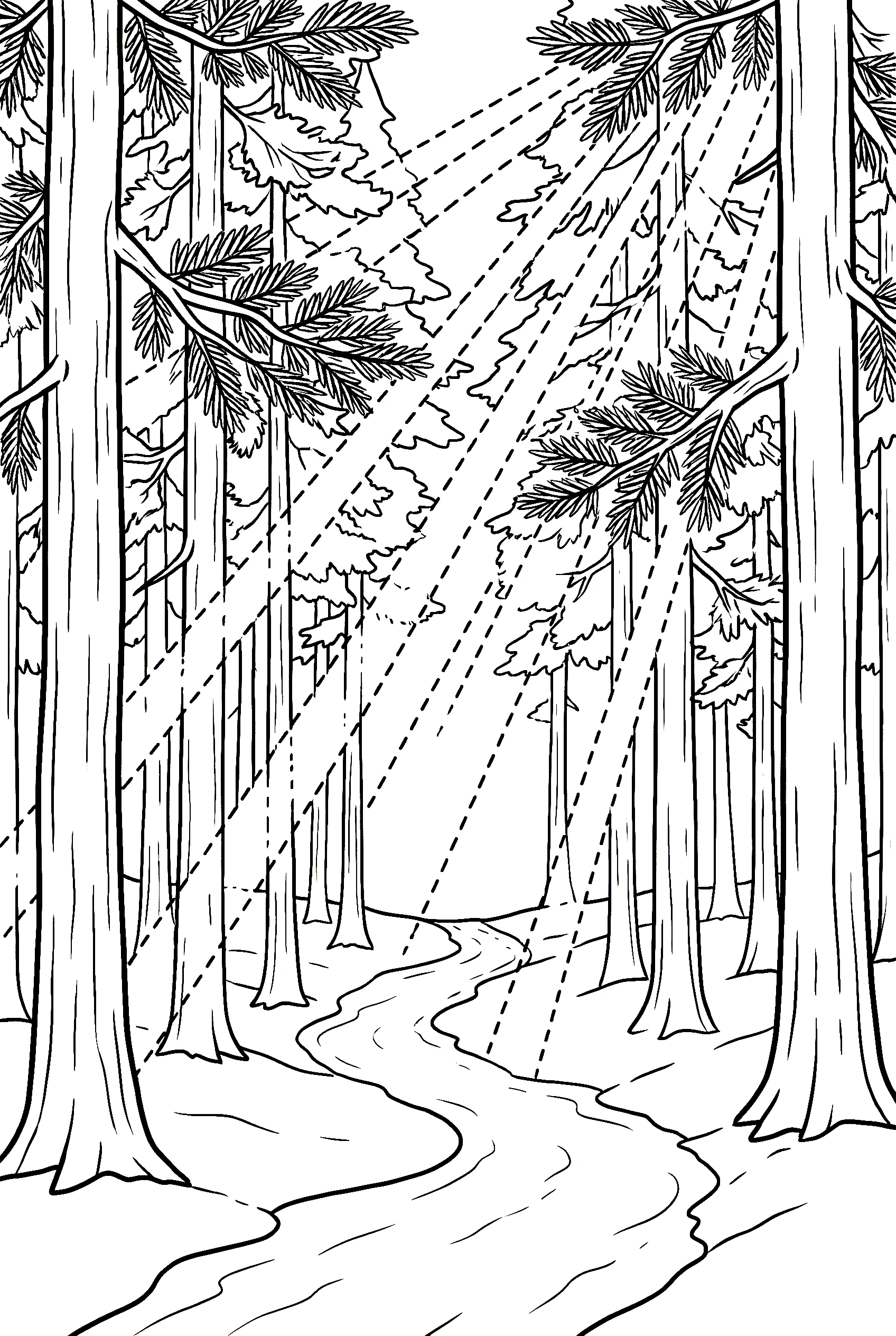 pine forest path coloring pages