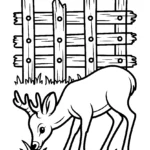 pulling-grass-deer-fence-drawing