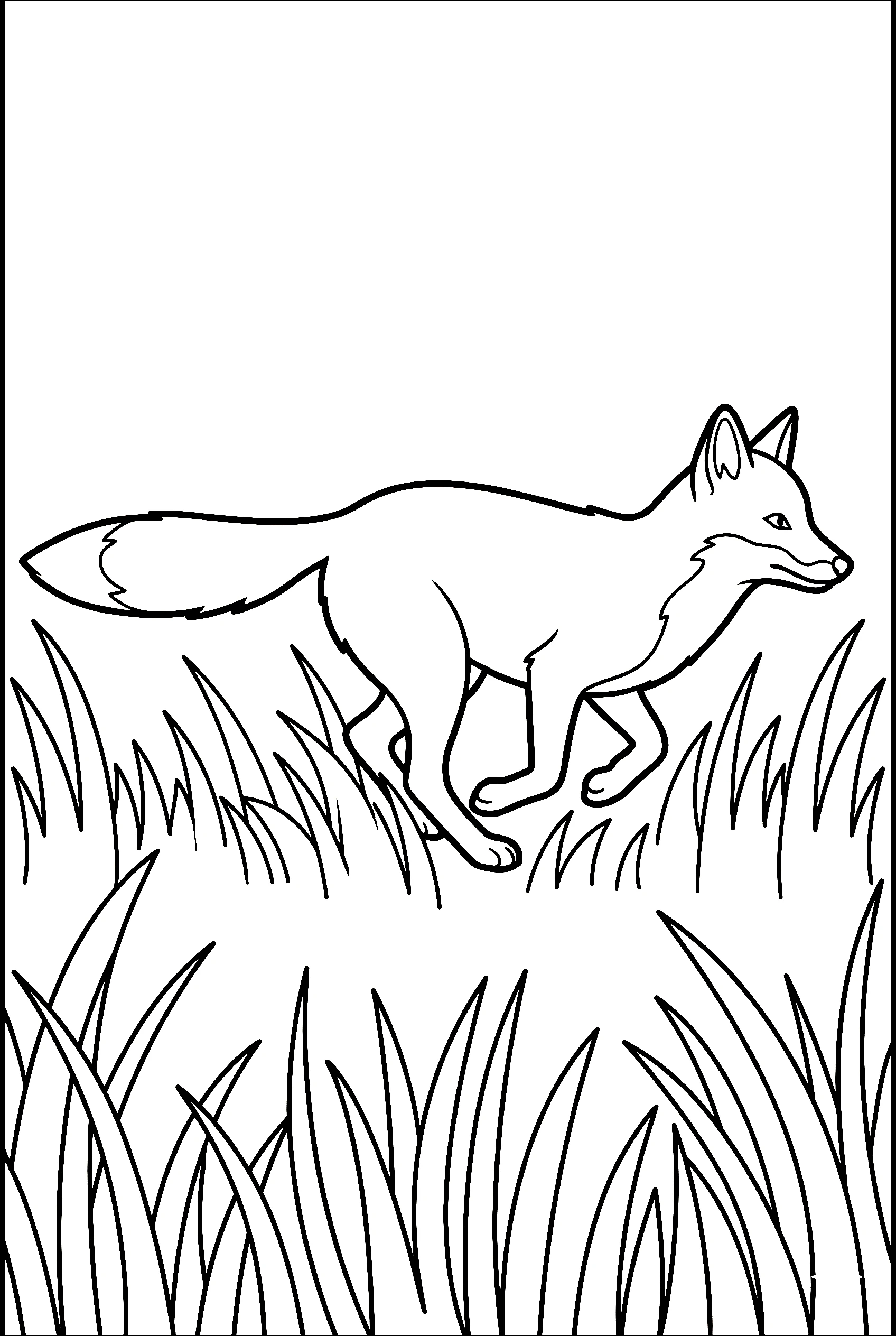 red fox running grass coloring pages