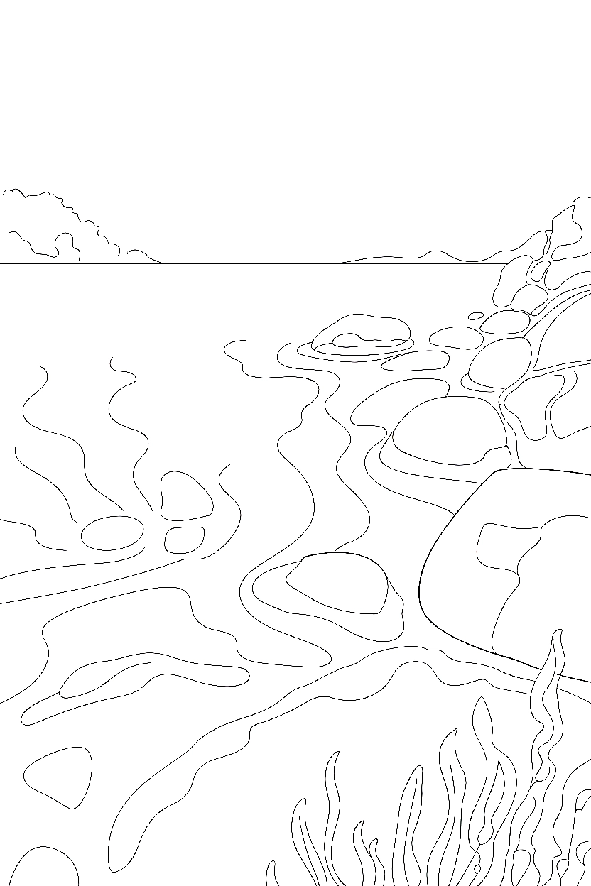 rocky coastline tide pools printable sheet rocky coastline tide pools printable sheet