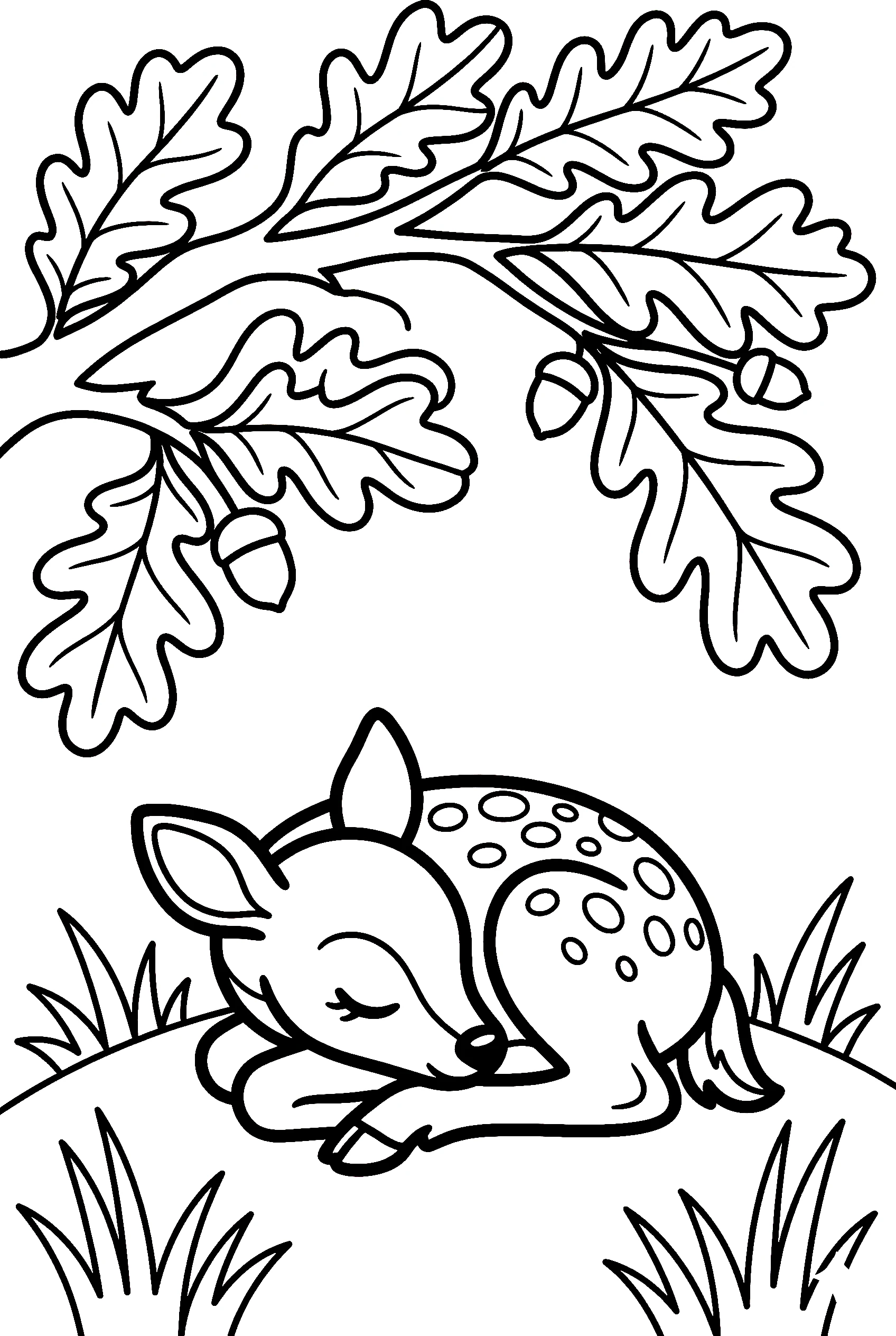 sleeping fawn oak tree printable sheet