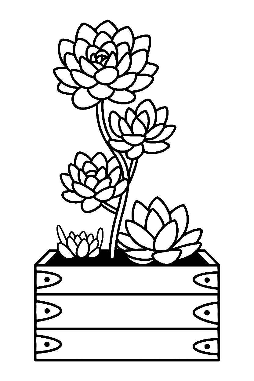 stacking succulent planter box drawing stacking succulent planter box drawing