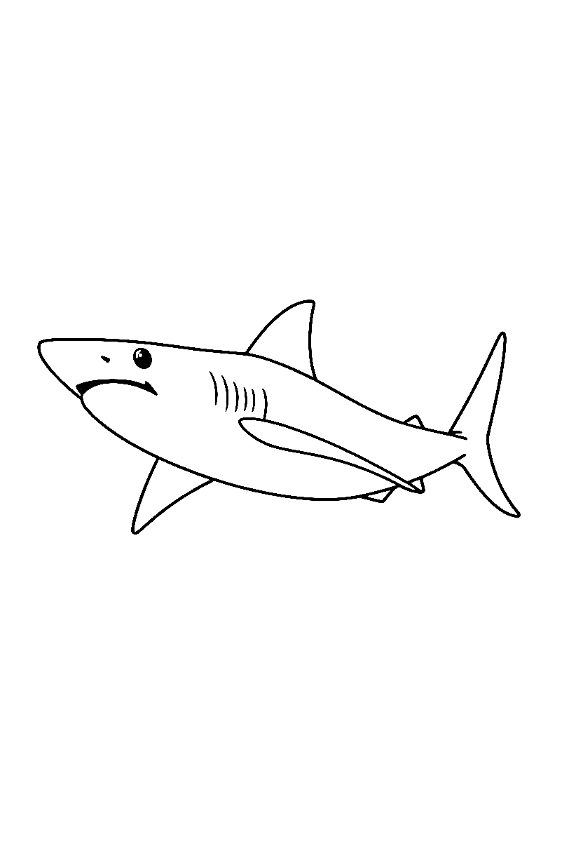 thresher shark long tail drawing