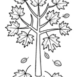 tree-maple-autumn-coloring-pages