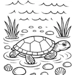 turtle-tidepool-rocks-coloring-pages