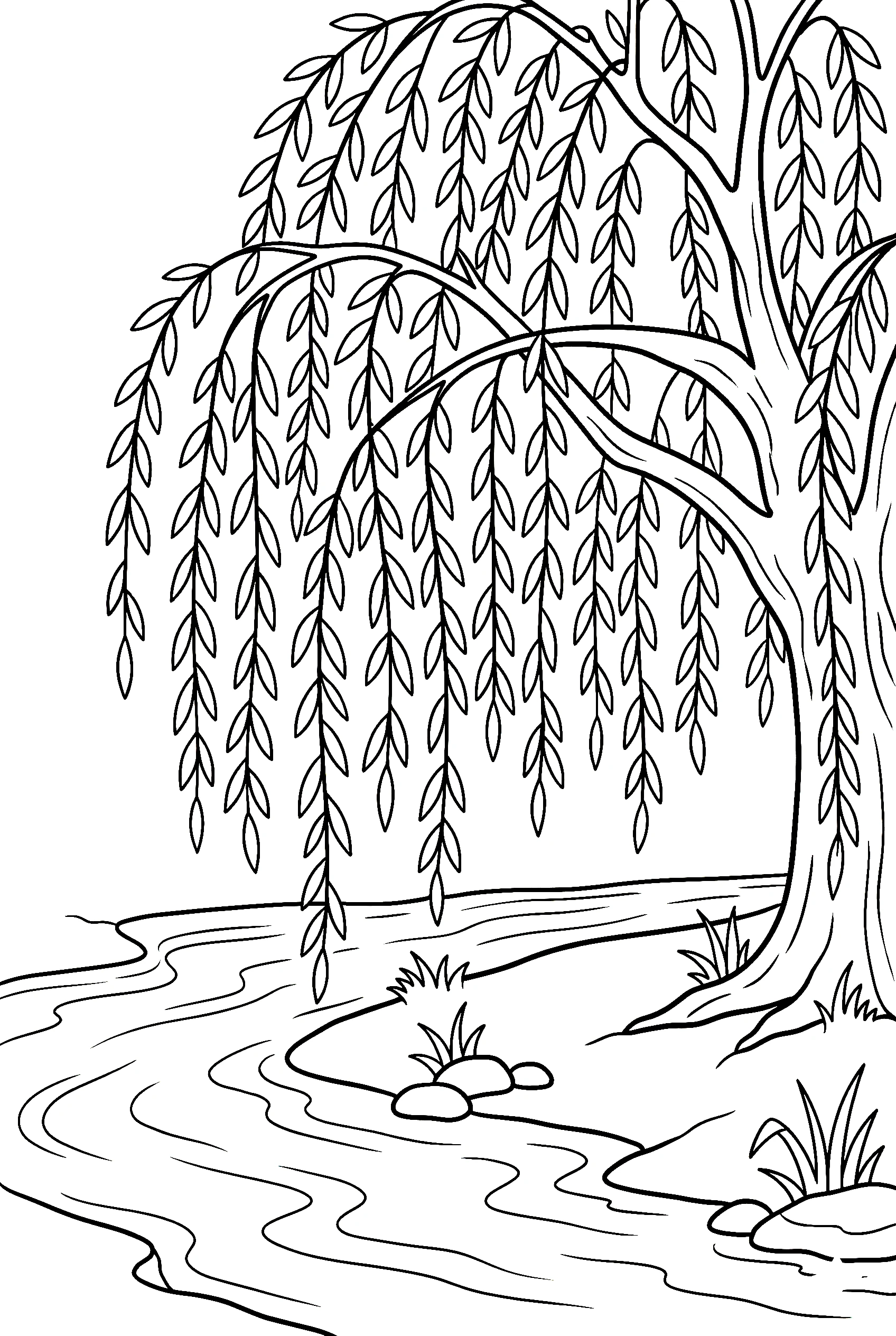 weeping willow tree coloring pages