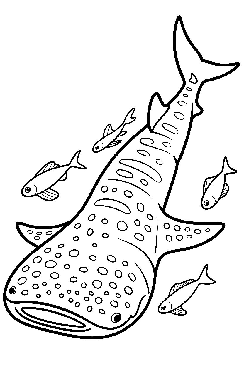whale shark spots coloring pages