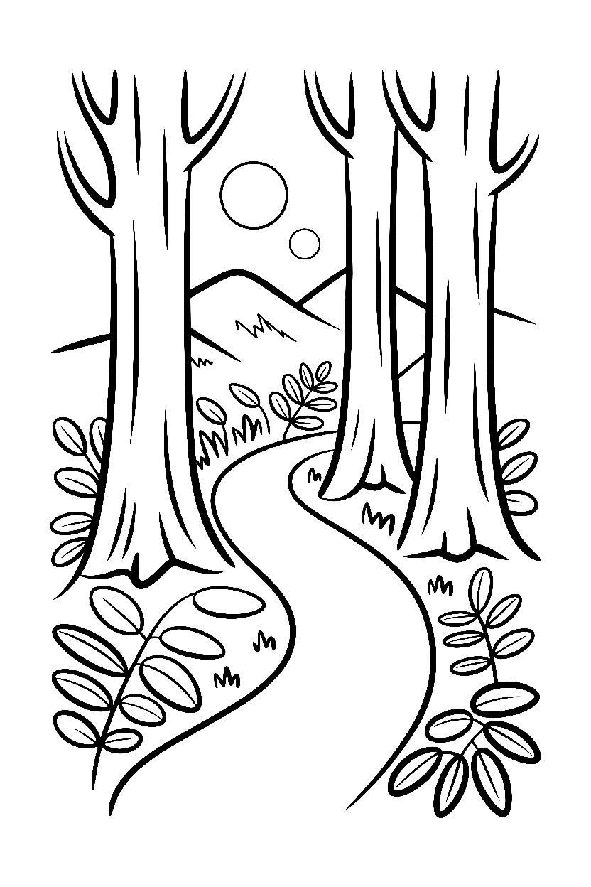 winding trail forest drawing