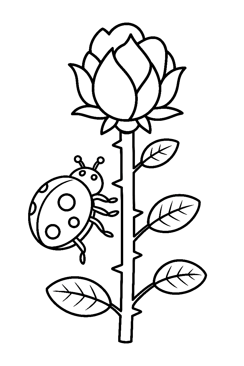 climbing rose stem ladybug coloring pages